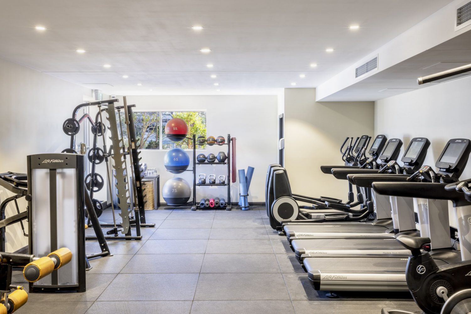 Indoor gymnasium