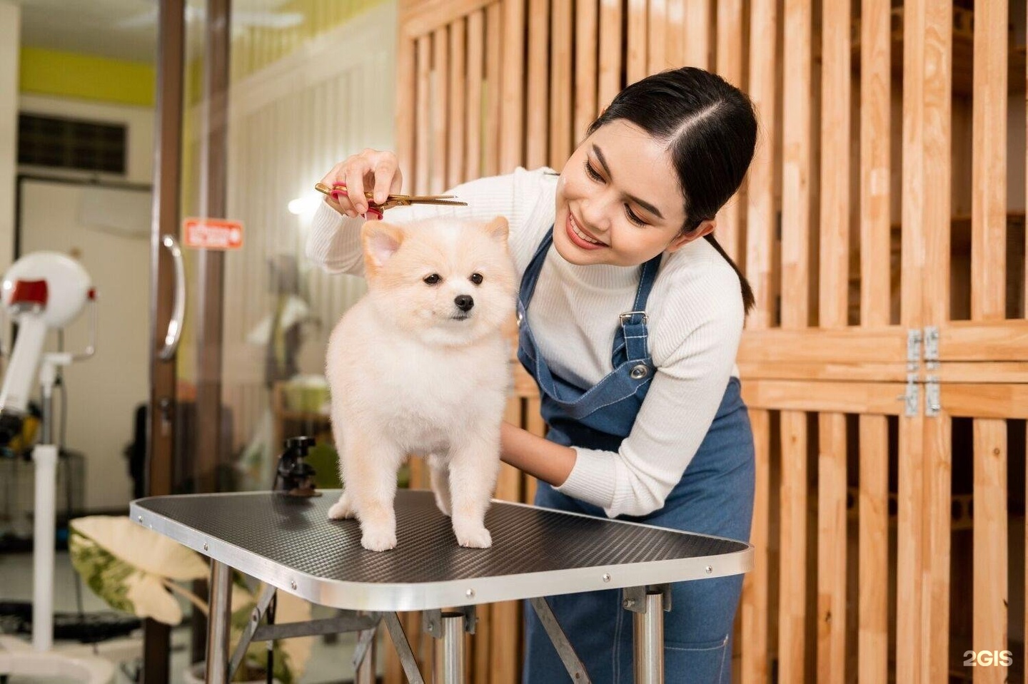 Pet Grooming Spa