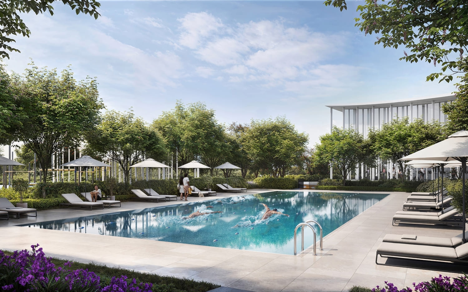 Swimming Pool & Deck