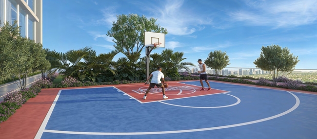 Basketball Court