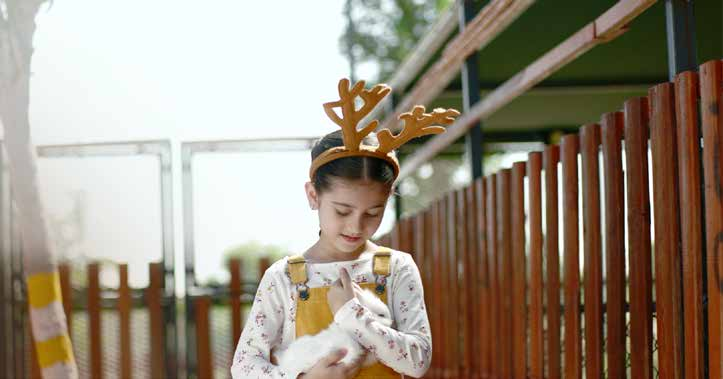 Petting farm