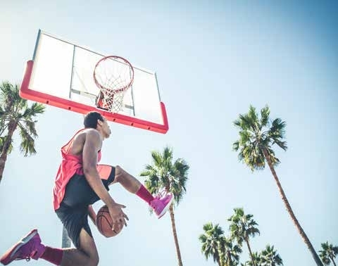Basketball Court