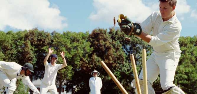 Cricket Court