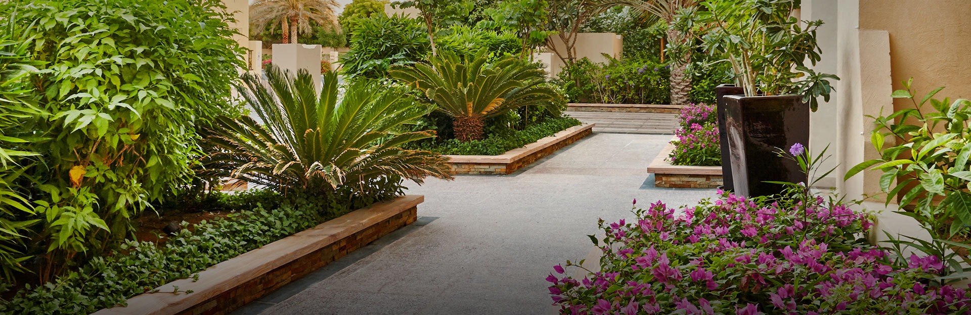 Landscaped Spaces