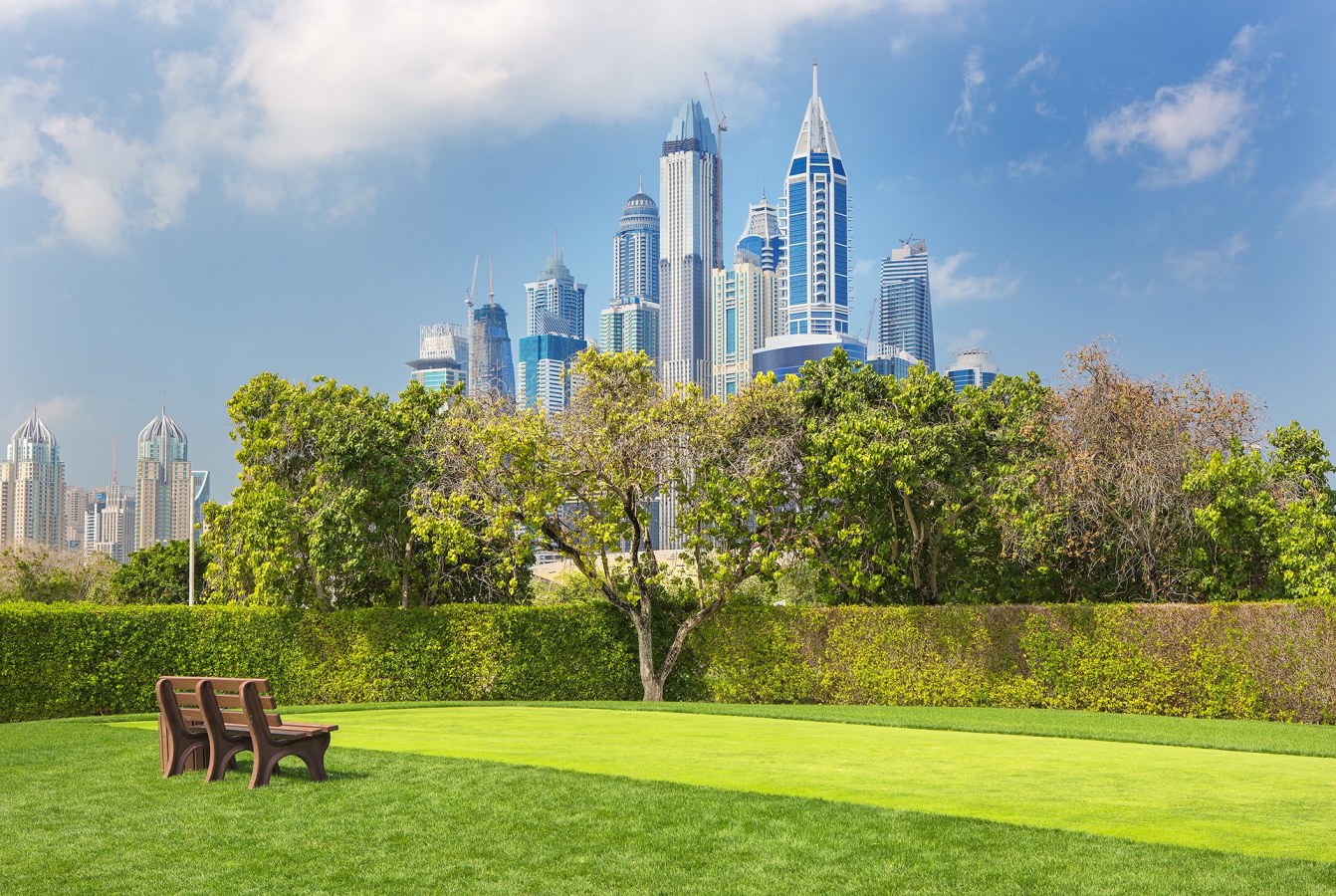 Lush green parks