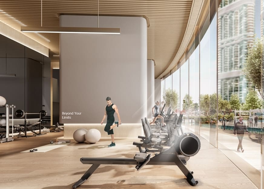 Outdoor and indoor gyms